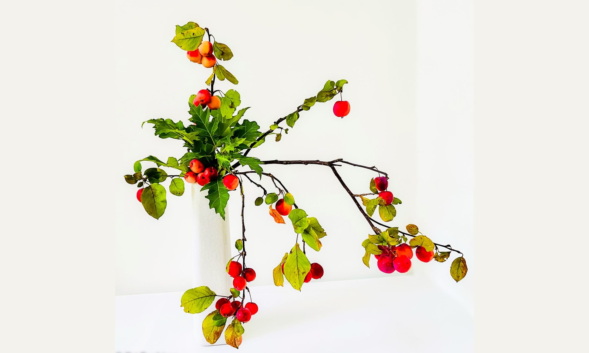 a sogetsu ikebana flower arrangement by shihan master Keika