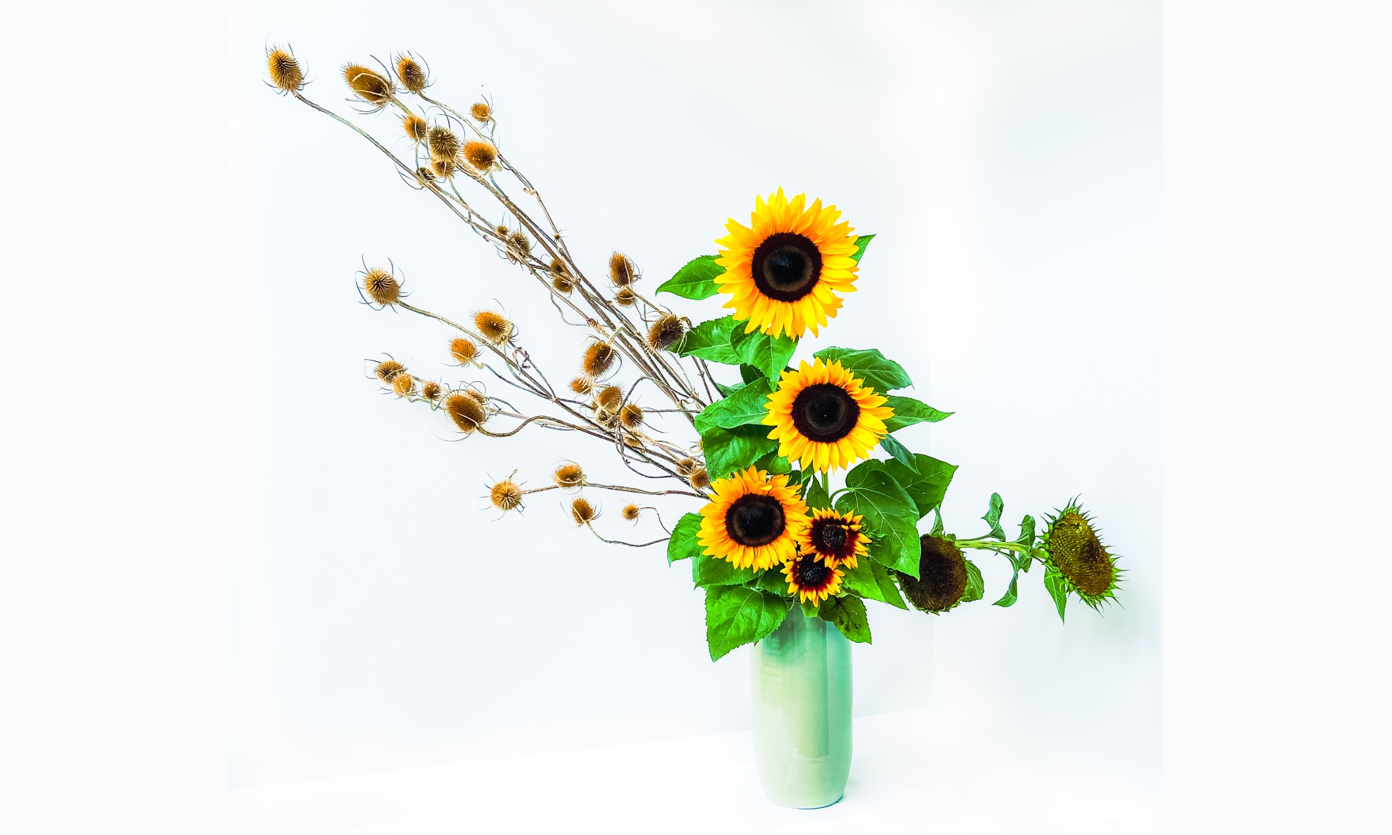 a sogetsu ikebana flower arrangement by shihan master Keika